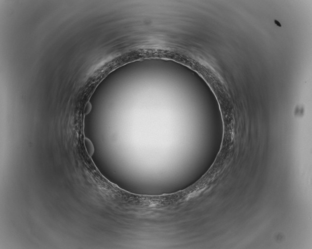 X0000097640870200803071551