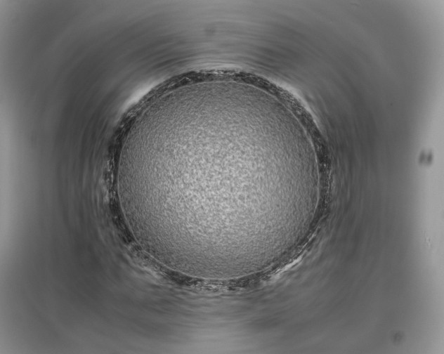 X0000097640871200803071551