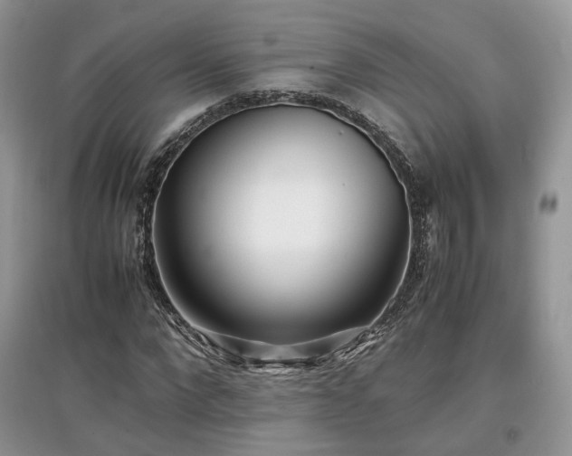 X0000097640872200803071551