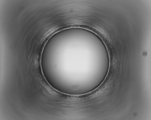 X0000097640873200803071551