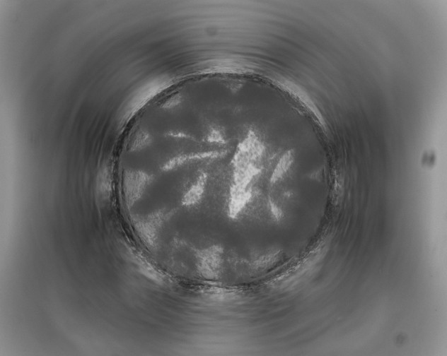 X0000097640874200803071551