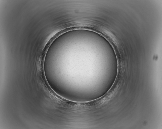 X0000097640875200803071551