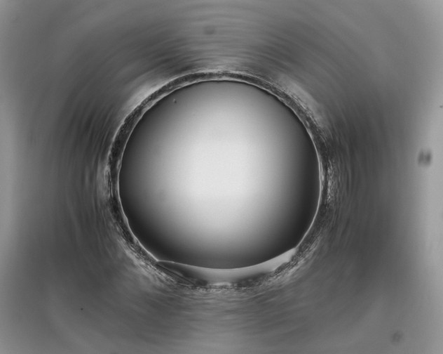 X0000097640876200803071551