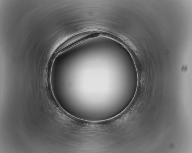 X0000097640877200803071551