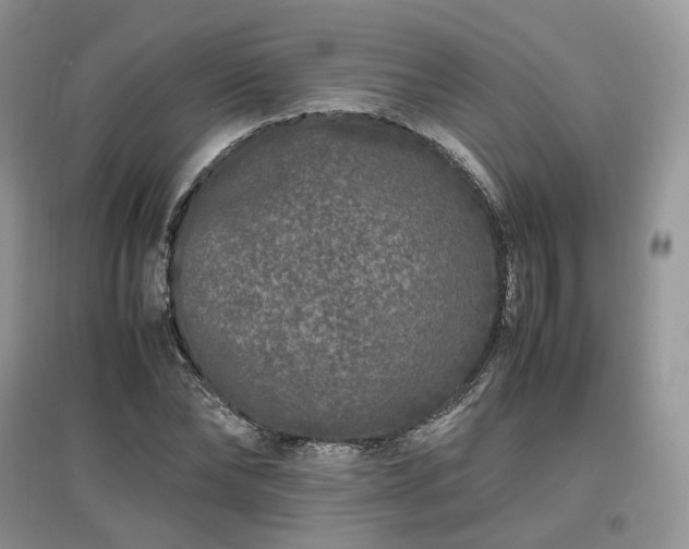 X0000097640878200803071551