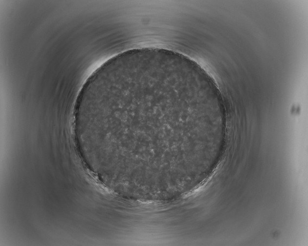 X0000097640879200803071551