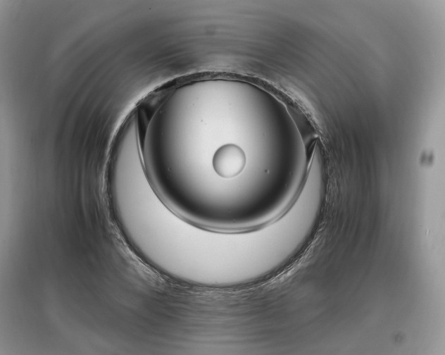 X0000097640880200803071551