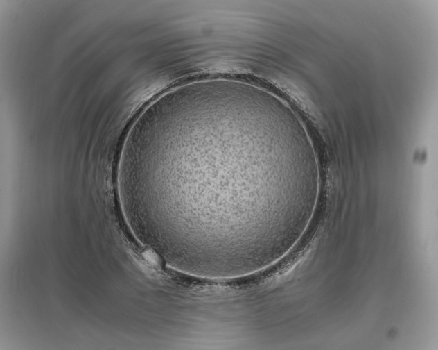 X0000097640881200803071551