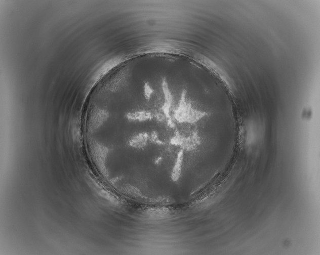 X0000097640882200803071551