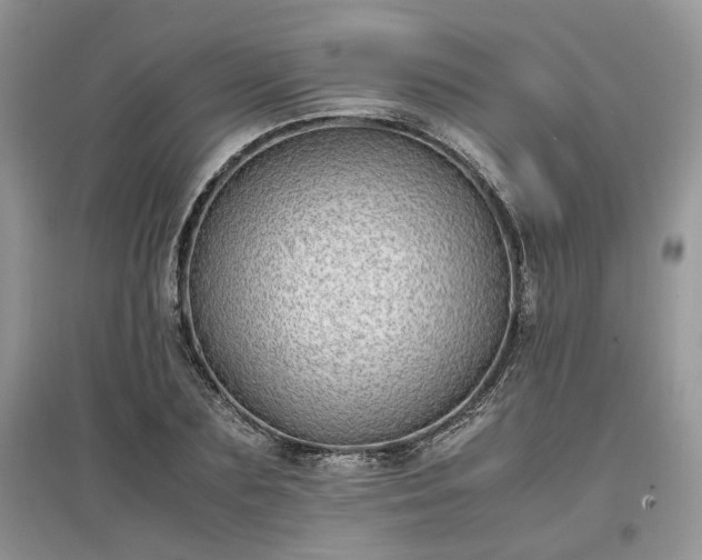 X0000097640883200803071551