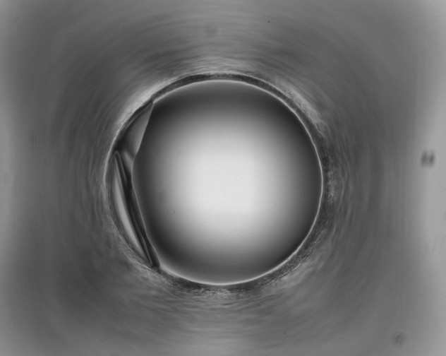 X0000097640885200803071551