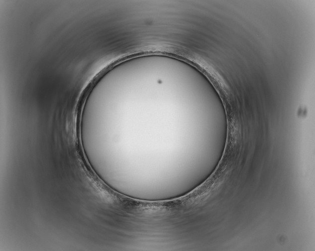 X0000097640886200803071551