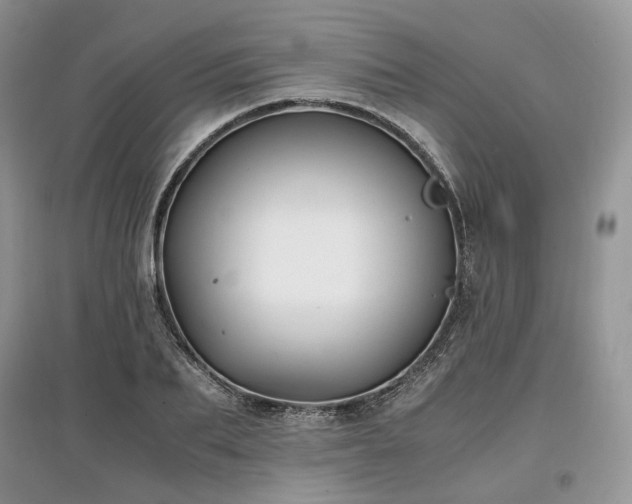 X0000097640887200803071551