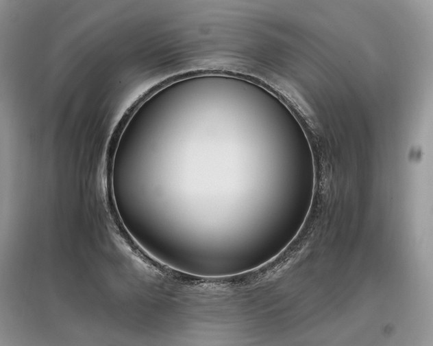 X0000097640888200803071550