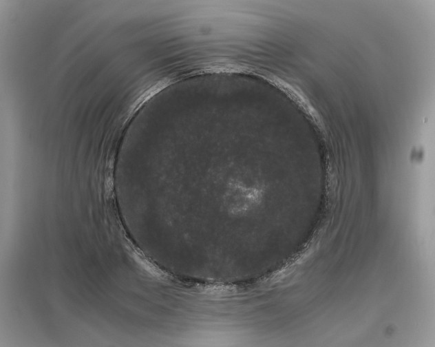 X0000097640889200803071550