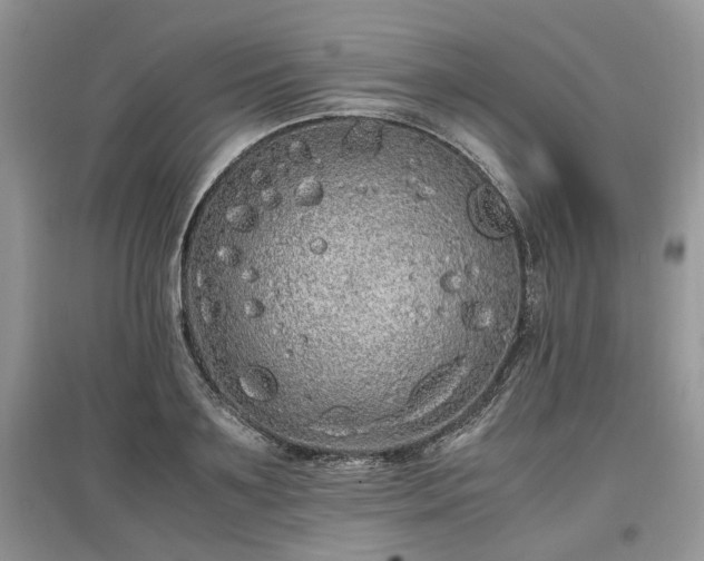 X0000097640891200803071550