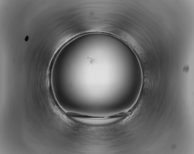 X0000097640892200803071550