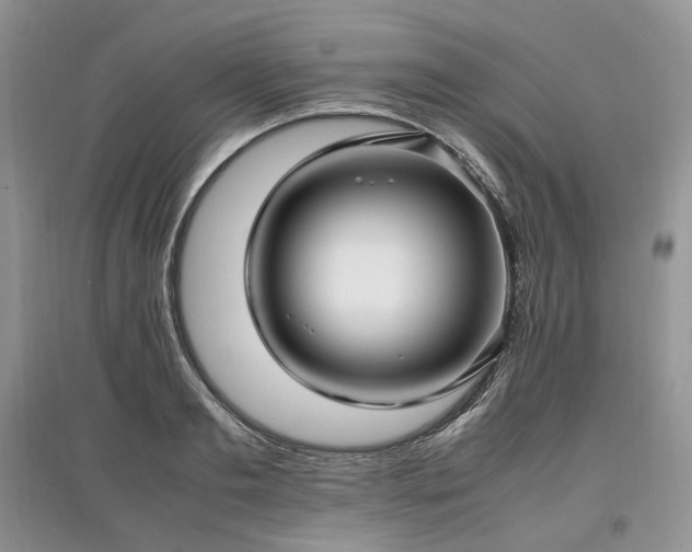 X0000097640893200803071550