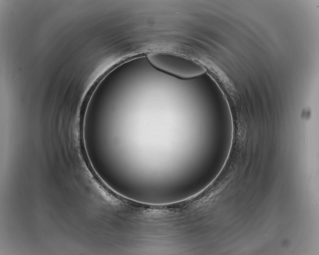 X0000097640894200803071550