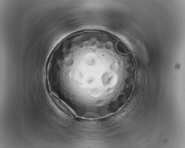 X0000097640895200803071550