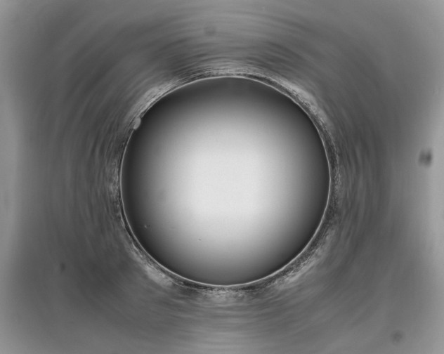 X0000097640897200803071550