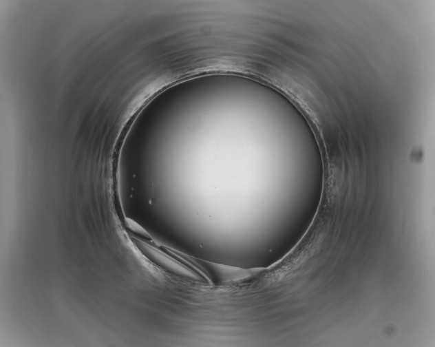 X0000097640898200803071550