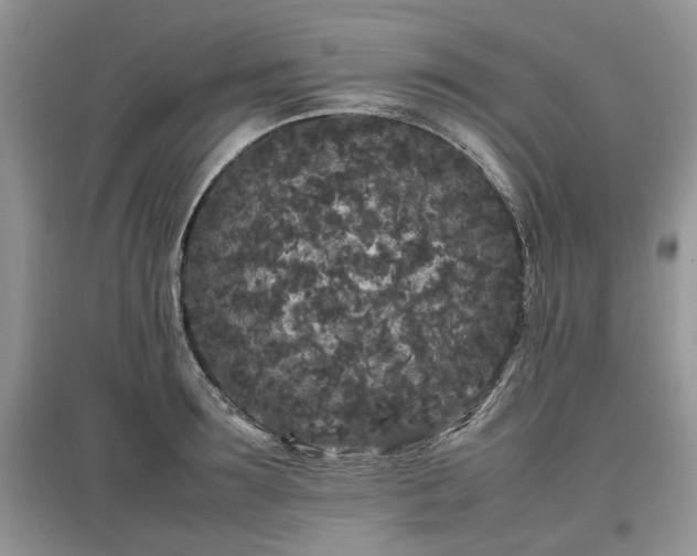 X0000097640899200803071550