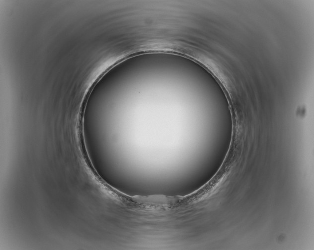 X0000097640901200803071550