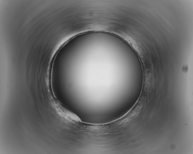 X0000097640904200803071550