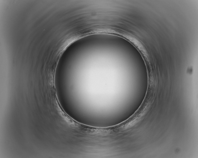 X0000097640905200803071550