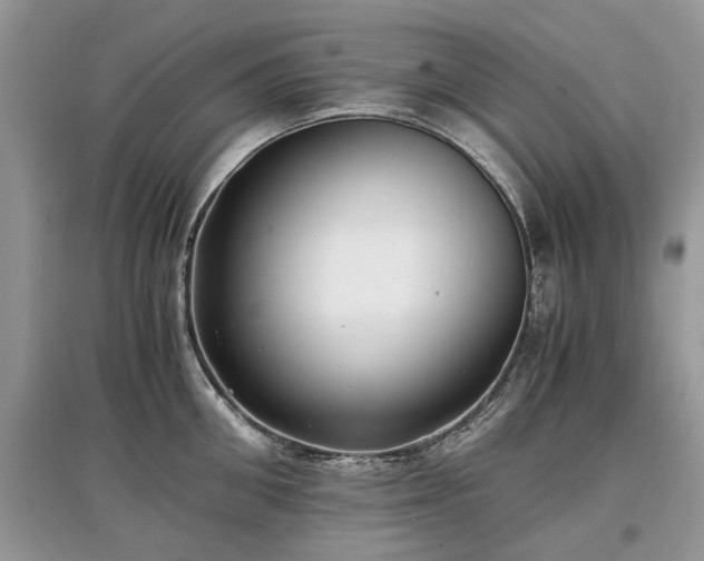 X0000097640906200803071550