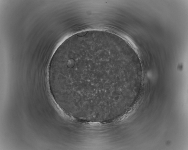 X0000097640907200803071550