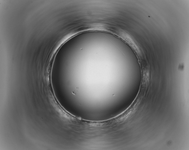 X0000097640908200803071550