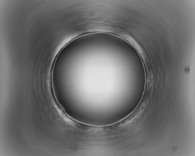 X0000097640909200803071550