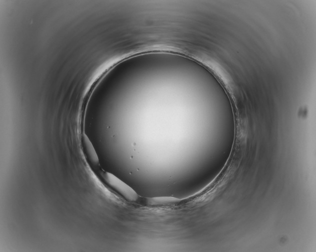 X0000097640910200803071550