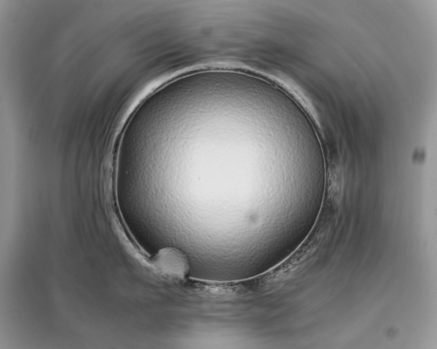 X0000097640911200803071550