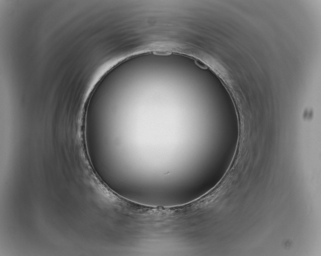 X0000097640912200803071550