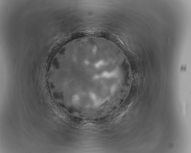 X0000097640913200803071549