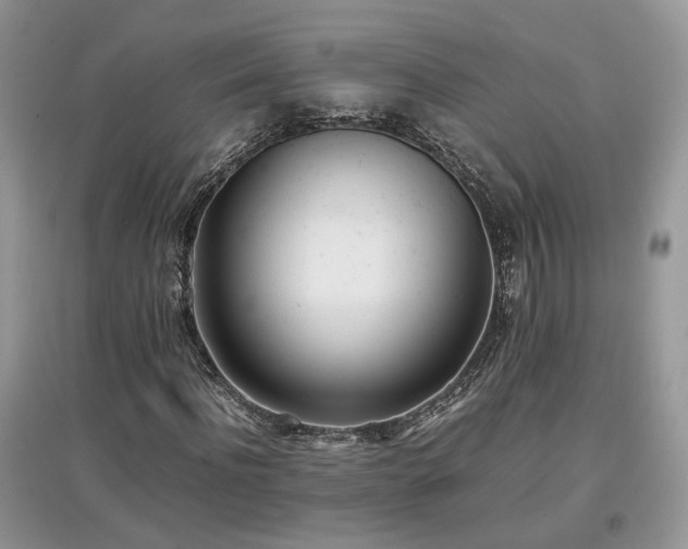 X0000097640916200803071549