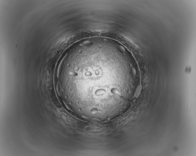 X0000097640917200803071549