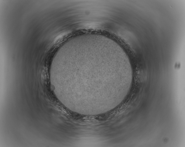 X0000097640918200803071549