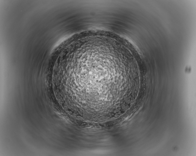 X0000097640919200803071549