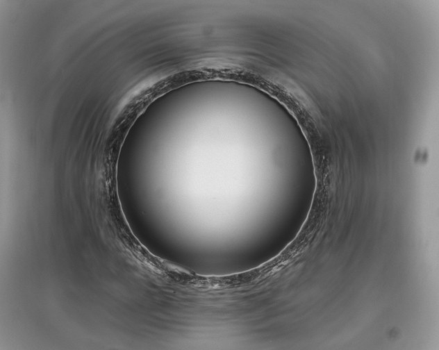 X0000097640920200803071549