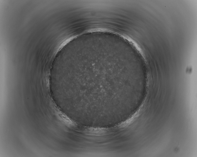 X0000097640921200803071549