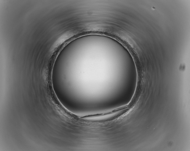 X0000097640922200803071549