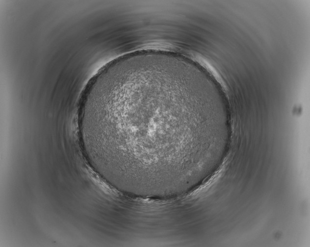 X0000097640923200803071549