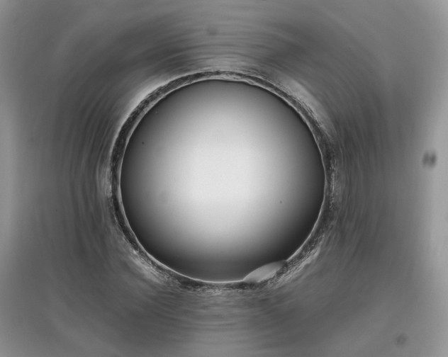 X0000097640924200803071549