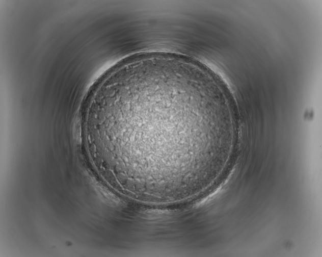 X0000097640925200803071549