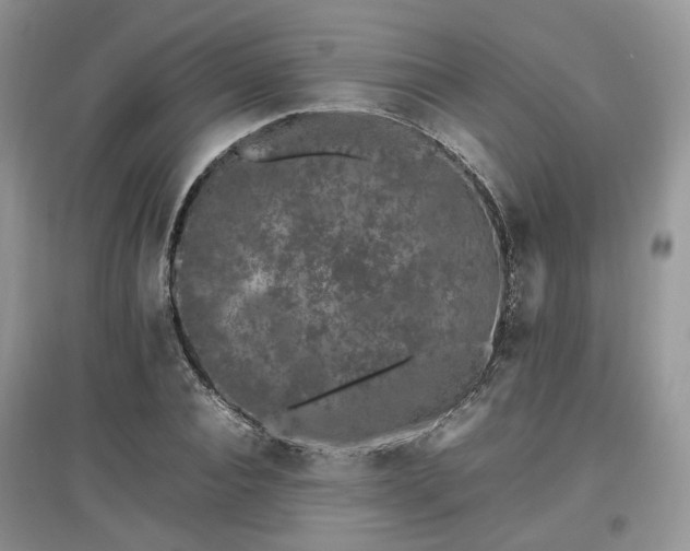 X0000097640928200803071549