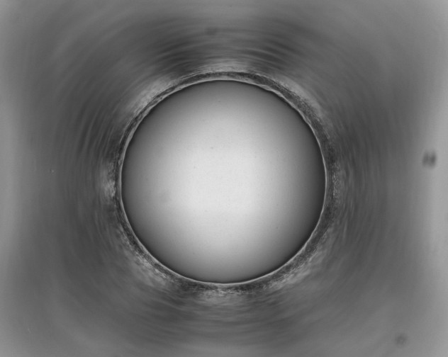 X0000097640929200803071549